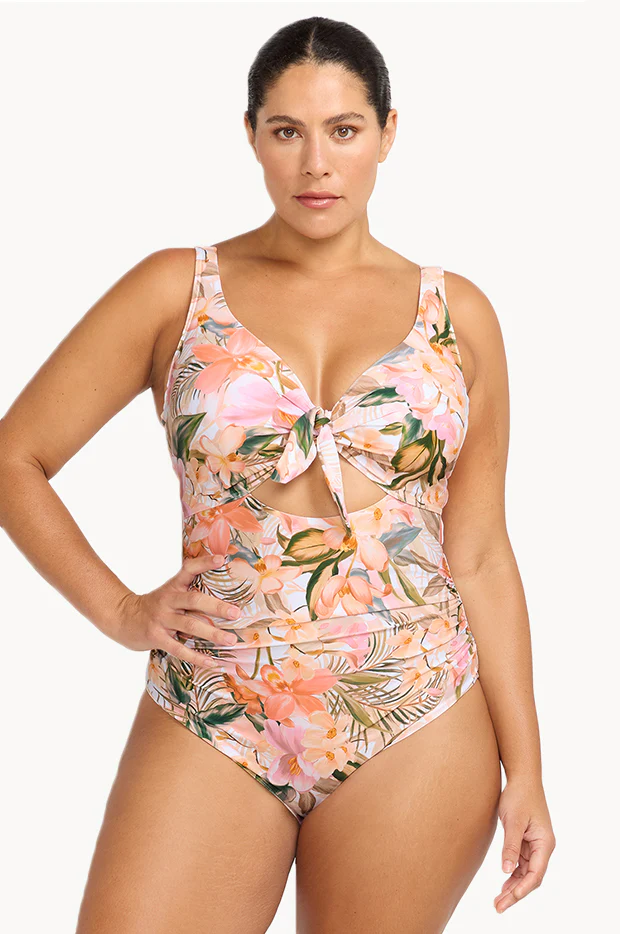 Ti'Tania Cezanne D/DD Cup One Piece
