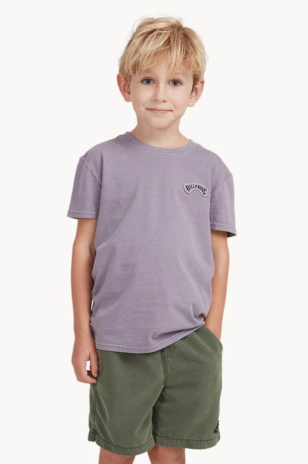 Toddler Boys All Day Overdye Boardshort