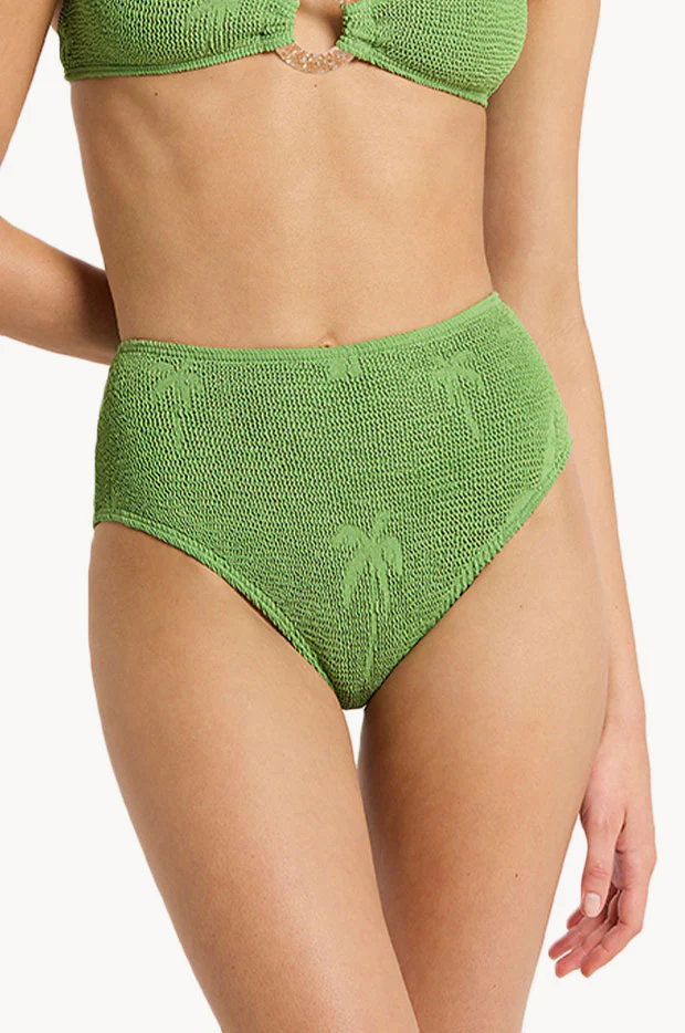 Palm Palmer Brief