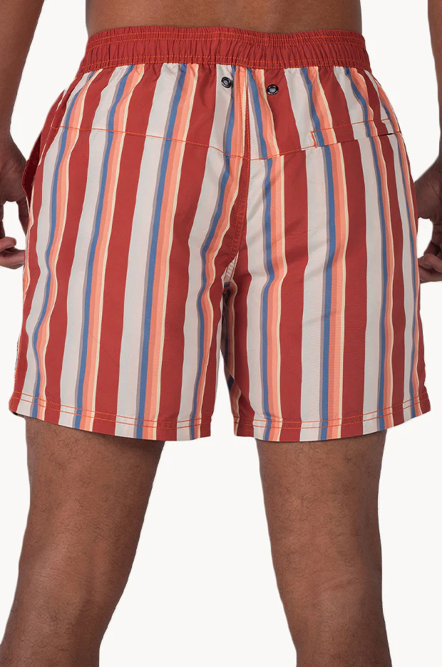 Mens Tabasco Stripe Boardshort - Image 4