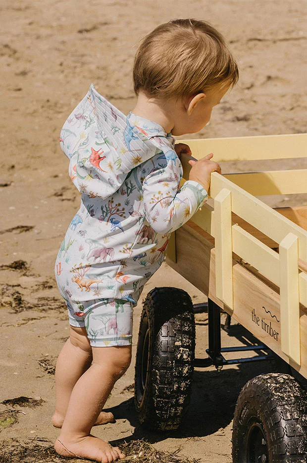 Boys Denver Sunsuit - Image 4