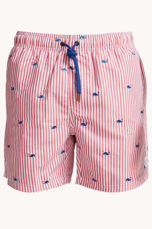 Mens Stripe Fowlers Boardshort - Image 2