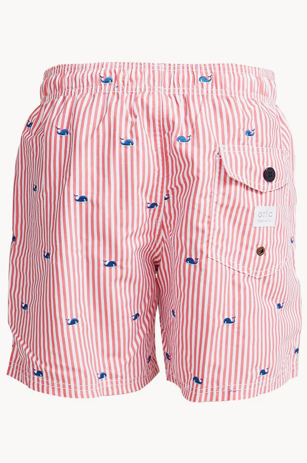 Mens Stripe Fowlers Boardshort - Image 3