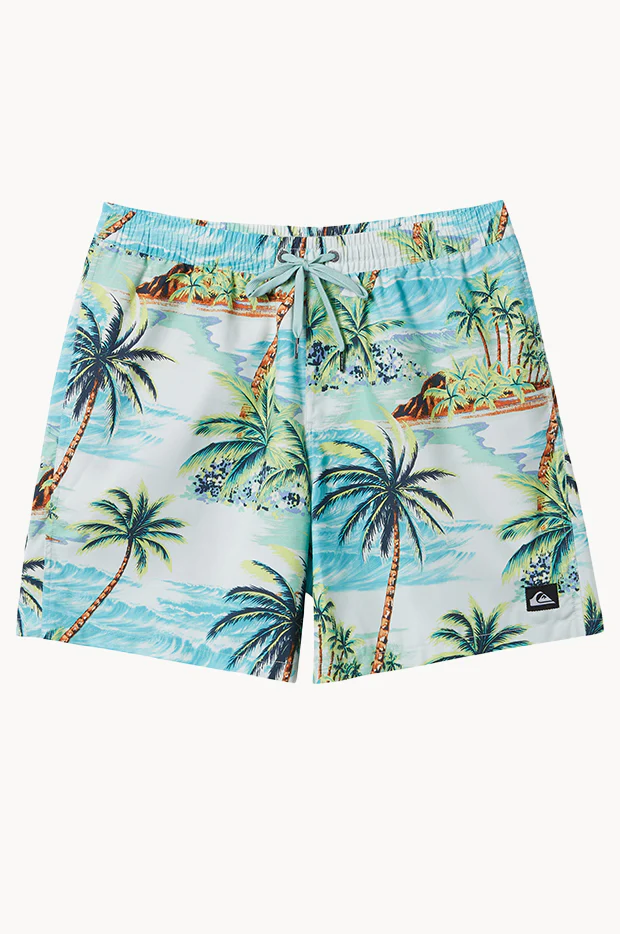 Mens Everyday Mix 17" Volley Boardshort - Image 3