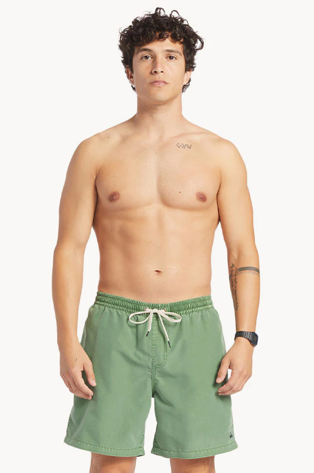 Mens Everyday Surfwash Volley 17" Boardshort