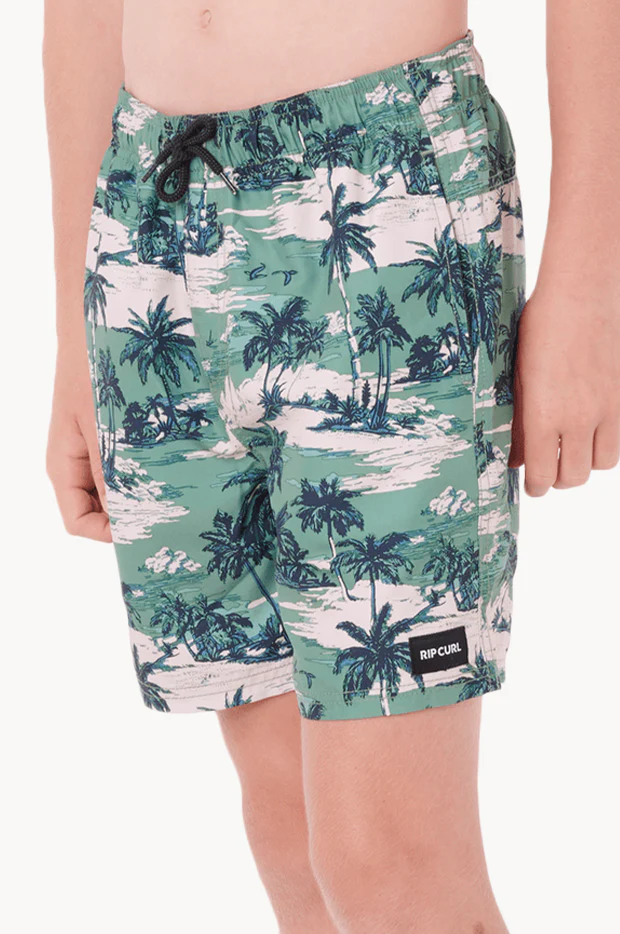 Boys Dreamers Volley Boardshort - Image 3