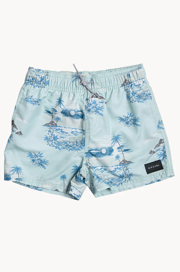 Boys Dreamers Volley Boardshort