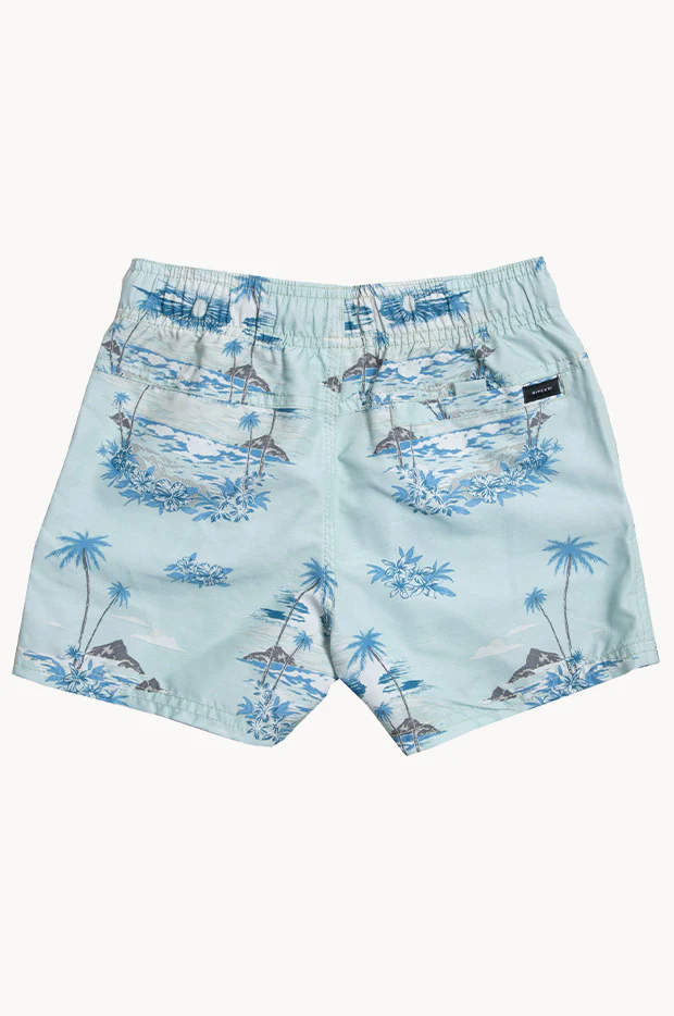 Boys Dreamers Volley Boardshort - Image 2
