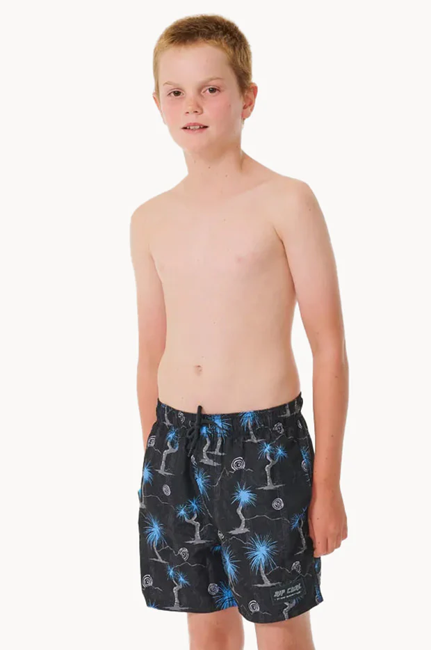 Boys Shred Rock Volley Boardshort