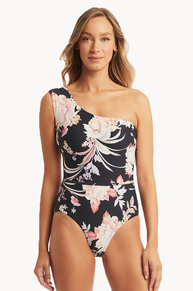 Martini Wide Strap Diagonal One Piece
