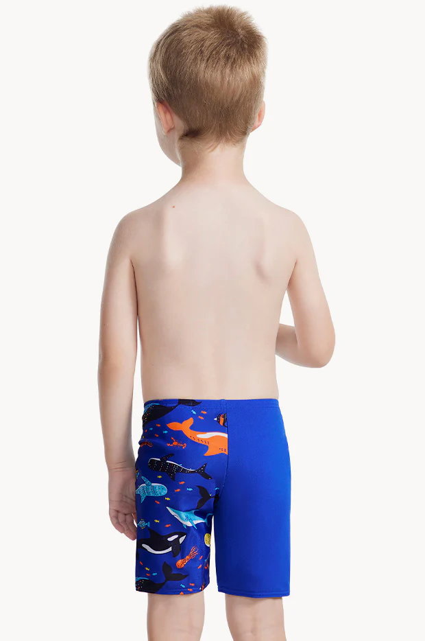 Boys Shark Jammer - Image 2