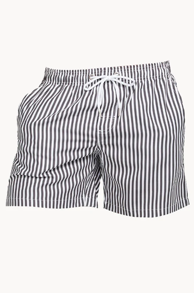 Mens The Hamptons Swim Short - Image 5